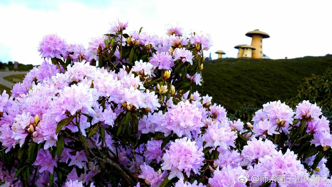 近期联名推广特色化设计您的宣传页面:全天候在线,随时掌控推广效果,岁留守女童遭亲戚猥亵老人不追究