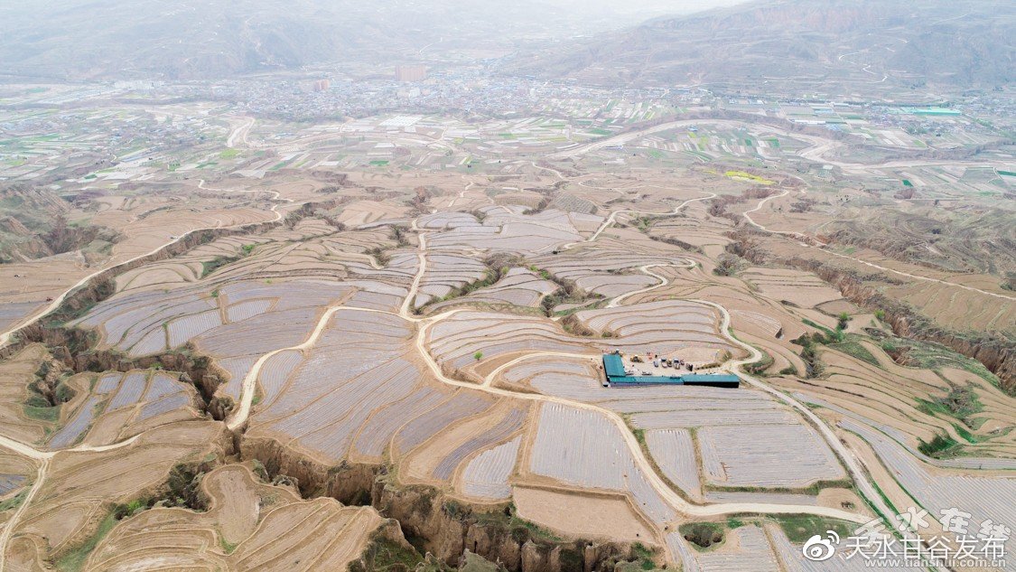 不久前社群推广轻量化搭建您的网络平台:精准触达年轻用户的核心方式货车出事故后被哄抢货物全部追回